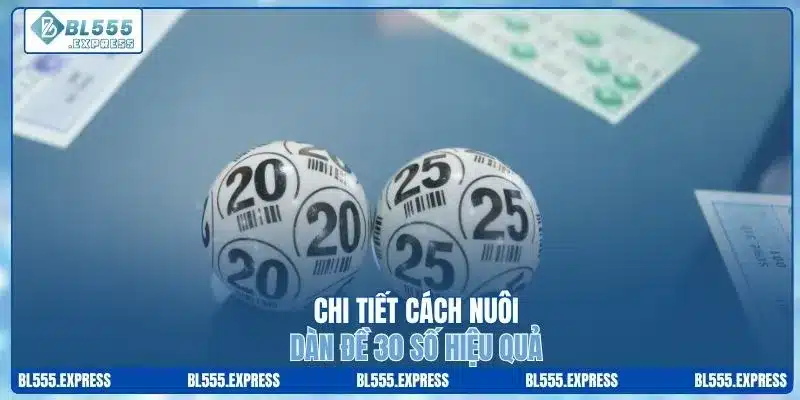 Chi tiết cách nuôi dàn đề 30 số hiệu quả