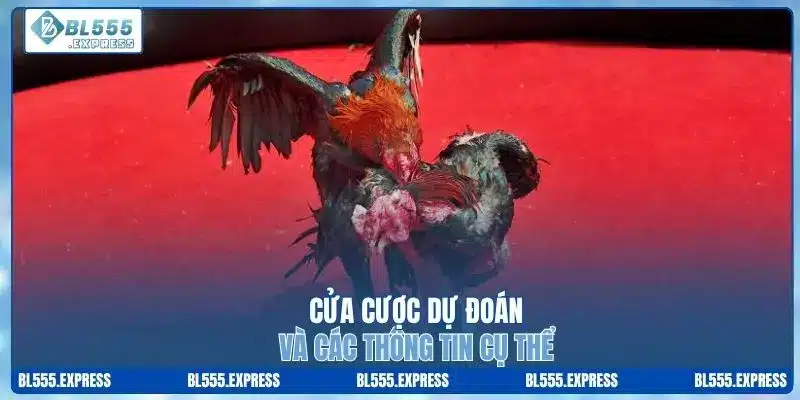 Cửa cược để dự đoán và thông tin cụ thể