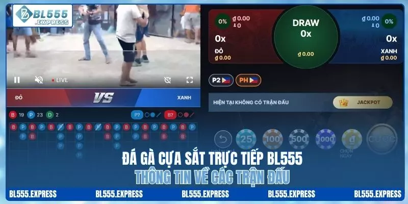 Đá Gà Cựa Sắt Trực Tiếp BL555 - Thông Tin Về Các Trận Đấu