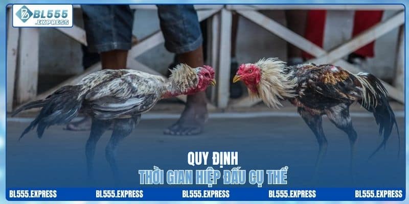 Quy định thời gian hiệp đấu cụ thể