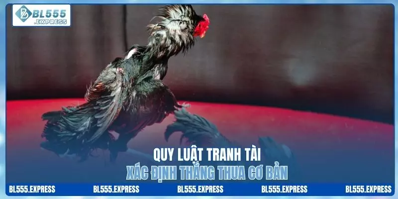 Quy luật tranh tài, xác định thắng thua cơ bản