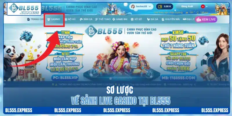 Sơ lược về sảnh live casino tại BL555