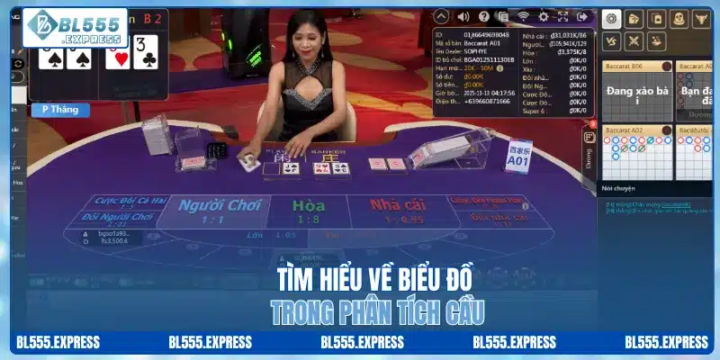 Tìm hiểu về biểu đồ trong phân tích cầu